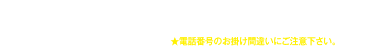 世界のやまちゃん 金山店