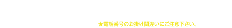 世界の山ちゃん 長者町店