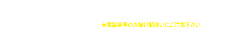 世界の山ちゃん　本町店